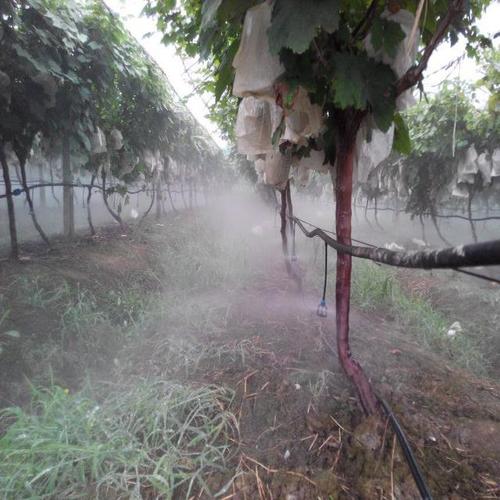 ���̰���